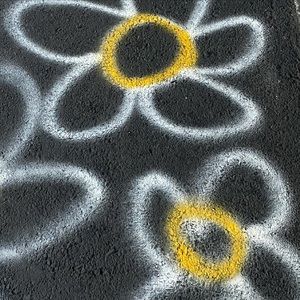 Meet your Posher, Tegan